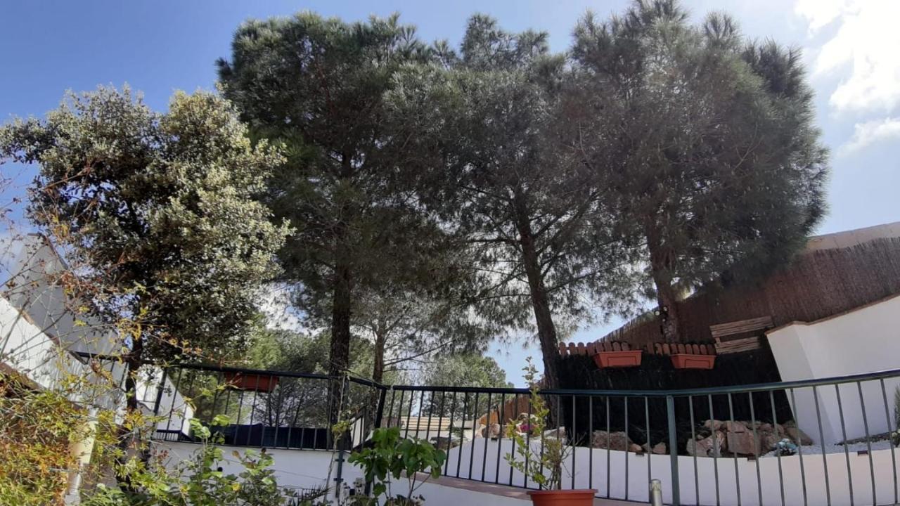El Pinar Del Coto Villa Cordova Esterno foto